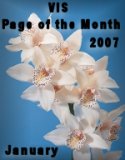 DAR Page of the Month Winner January 2007