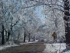 Ice Storm