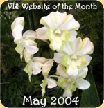 National's VIS Website of the Month, May 2004