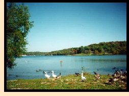 Wyandotte County Lake